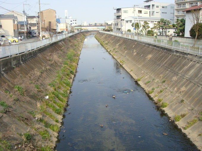 人を恐れぬヤブ蚊はトンボを恐れる