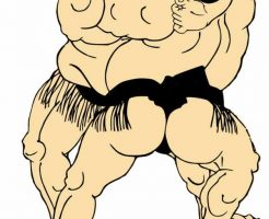 相撲は国技ではない
