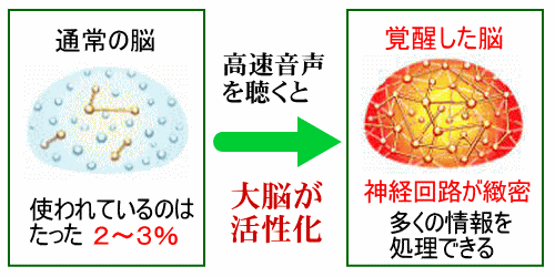 高速音声で脳力開発